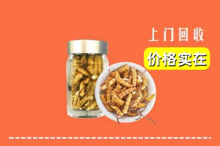 安阳滑县回收散虫草