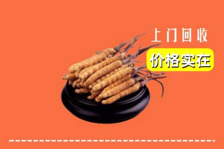 安阳滑县回收冬虫夏草